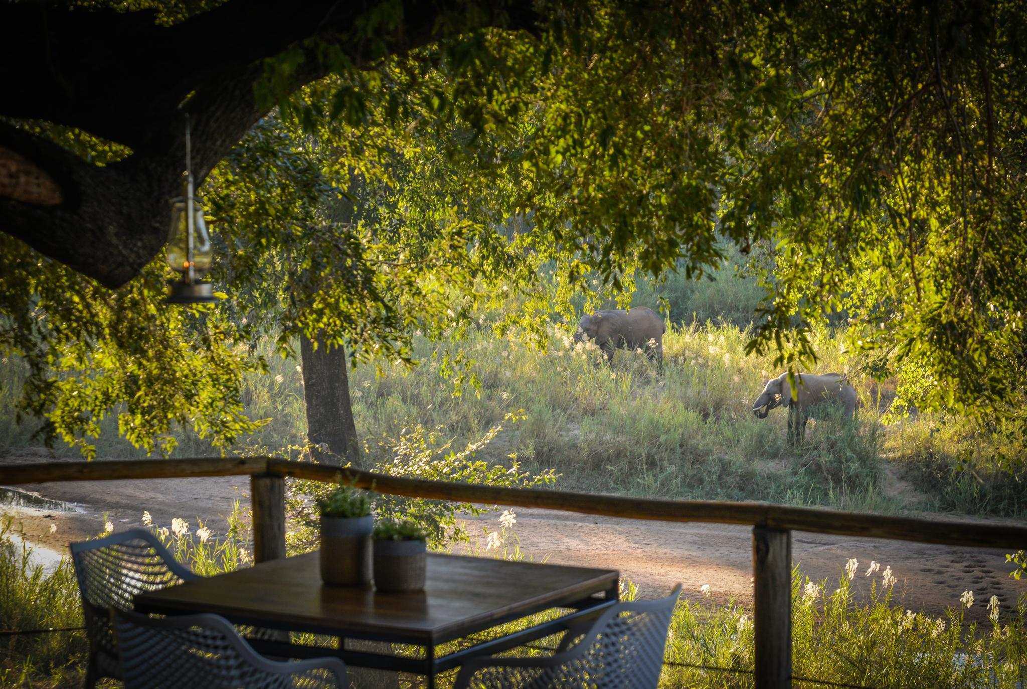 Lion Sands Narina Lodge 사비샌드 외부 사진